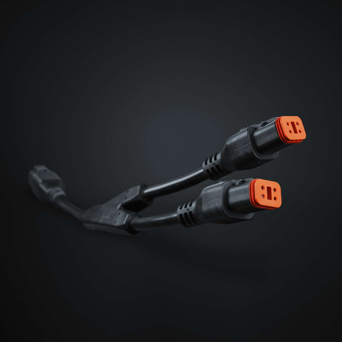 Strands PRO DT-4PIN TO 2X DT-4 PLUG SPLIT – Ansicht 1