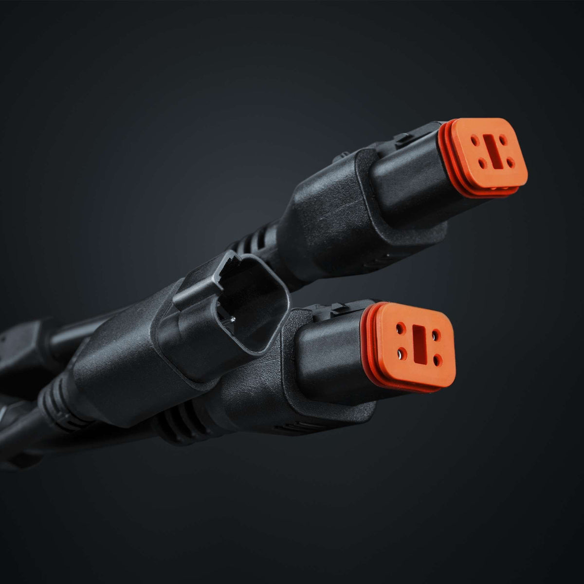 Strands PRO DT-4PIN TO 2X DT-4 PLUG SPLIT – Ansicht 3