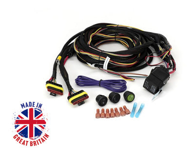 Lazer Lamps Kabelsatz Doppel Lang (für Triple-R Beacon Scheinwerfer, 12V)