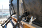 Alu-Cab Khaya Camper Komfort Einheit/Schwarz