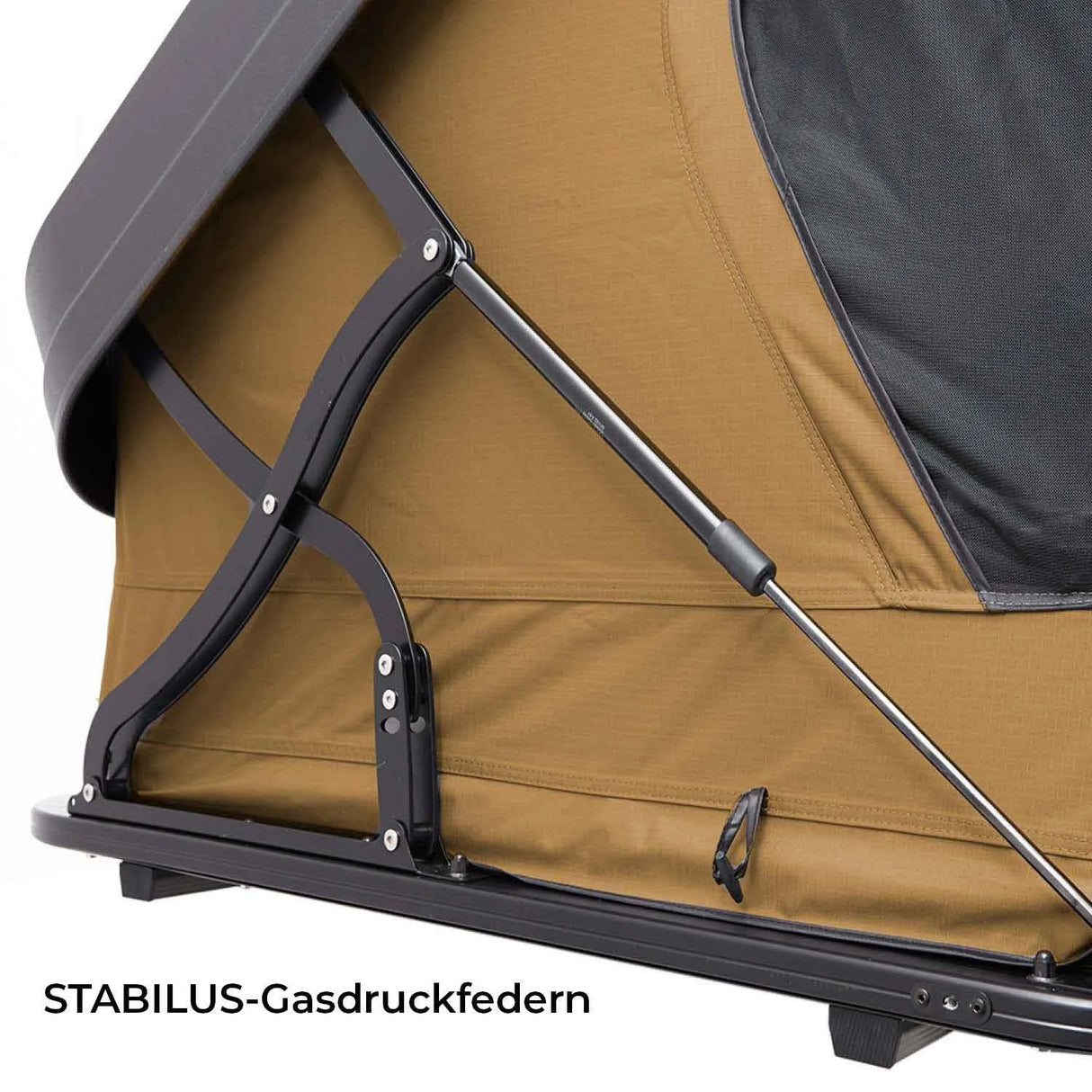 Vickywood hybrid roof tent lightweight construction MIGHTY OAK Light