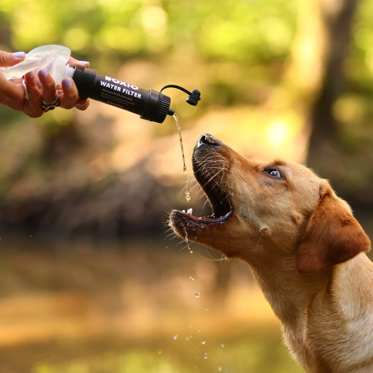 Mobiler Wasserfilter Outdoor I BOXIO WATER FILTER