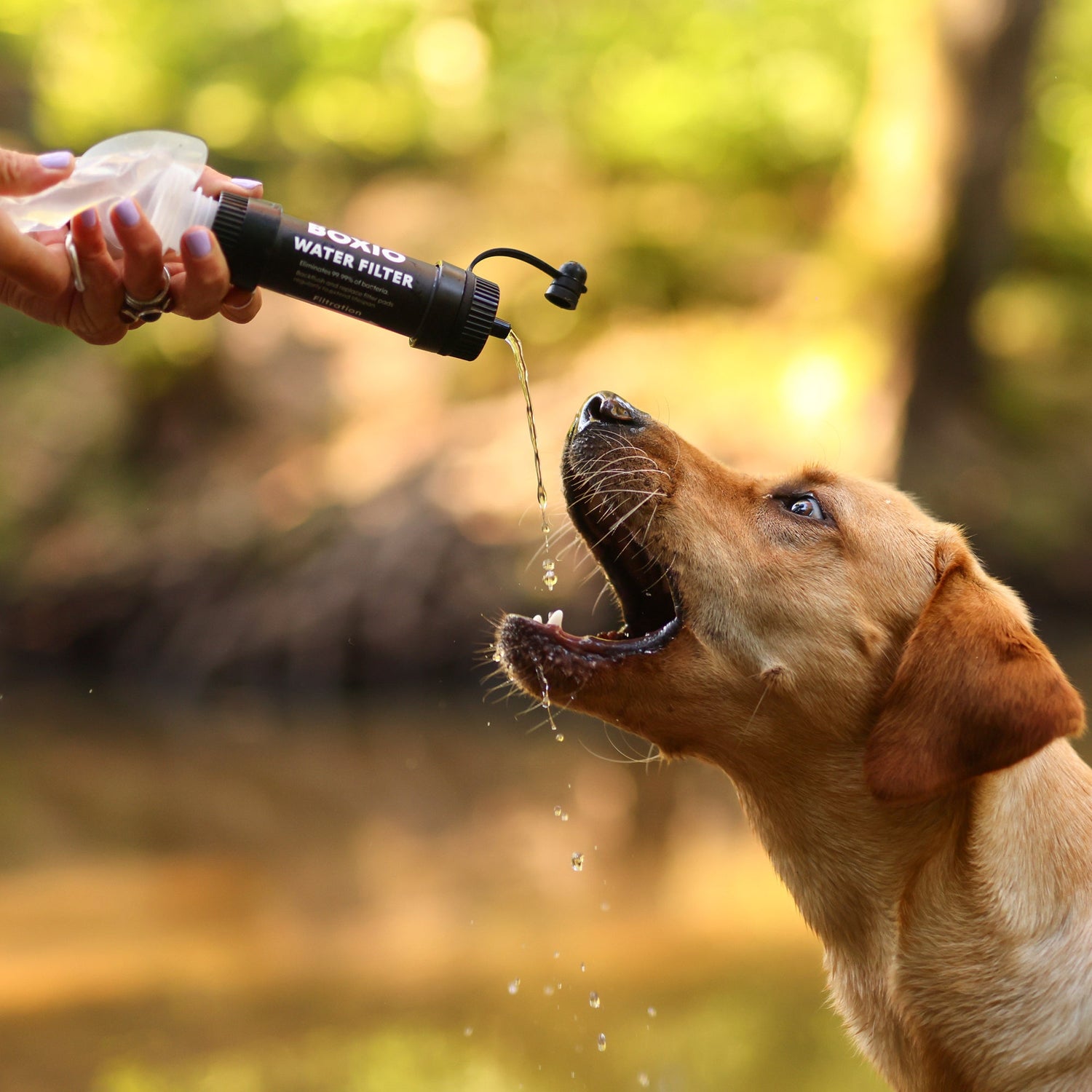 Mobiler Wasserfilter Outdoor I BOXIO WATER FILTER