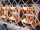 Lazer Lamps Sentinel 9" Gen2 Highline - Beacon weiß