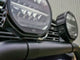 Lazer Lamps flache Transferplatte für Sentinel