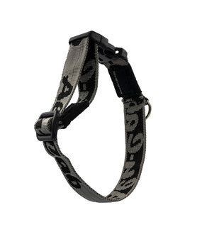 Alu-Cab Hunde Halsband in Größe: Klein