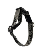Alu-Cab Hunde Halsband in Größe: Klein