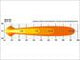 Lazer Lamps ST12 Evolution LED-Scheinwerfer Schwarz